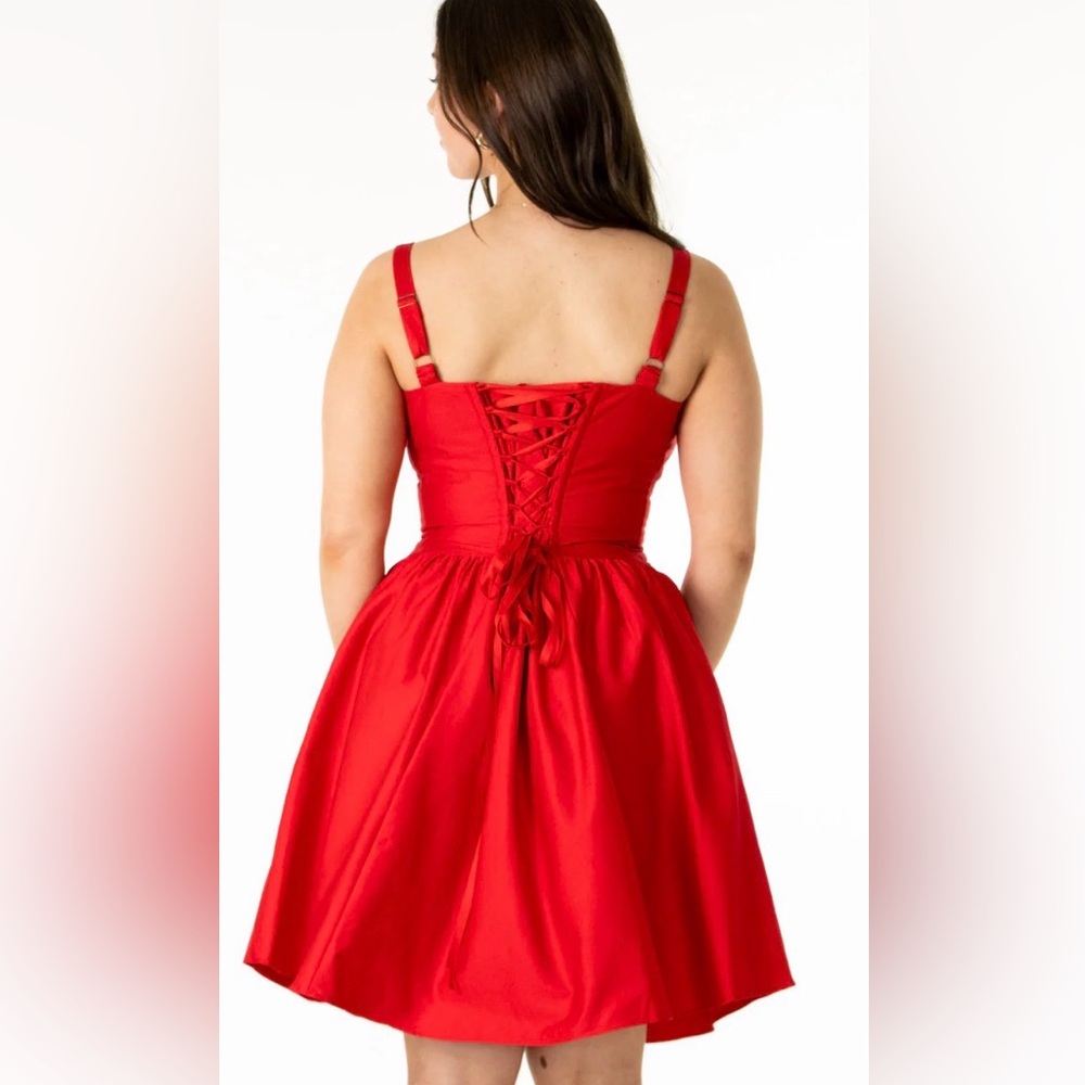 Aulieude Layla Ted Corset Dress (3X) - Picture 6 of 10